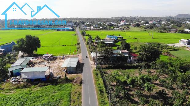 Bất động sản tại Bình Thuận - ảnh 1