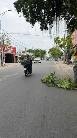 Bất động sản tại Vĩnh Long - ảnh 1