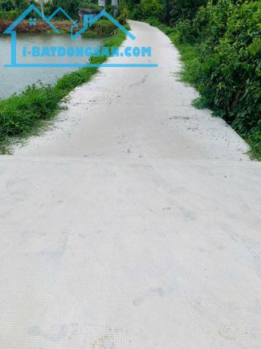 Bất động sản tại Đồng Tháp - ảnh 1