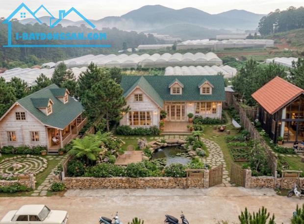 Bất động sản tại Lâm Đồng - ảnh 1