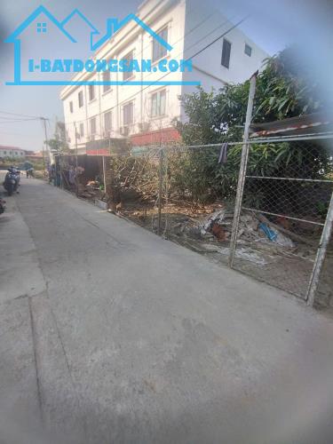 Bất động sản tại Hải Phòng - ảnh 1