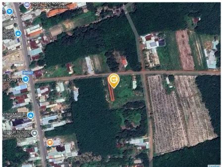 Bất động sản tại Bình Dương - ảnh 1