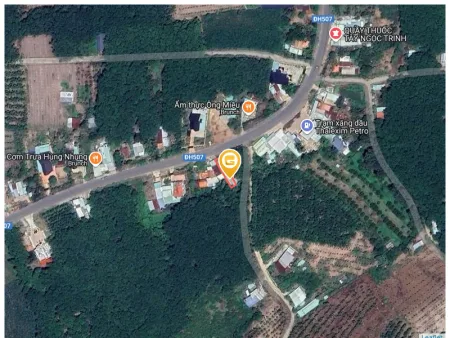 Bất động sản tại Bình Dương - ảnh 1