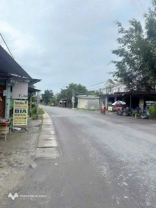 Bất động sản tại Long An - ảnh 1