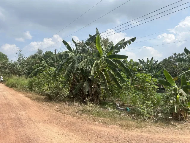 Bất động sản tại Bình Dương - ảnh 1