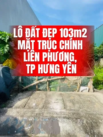 Bất động sản tại Hưng Yên - ảnh 1