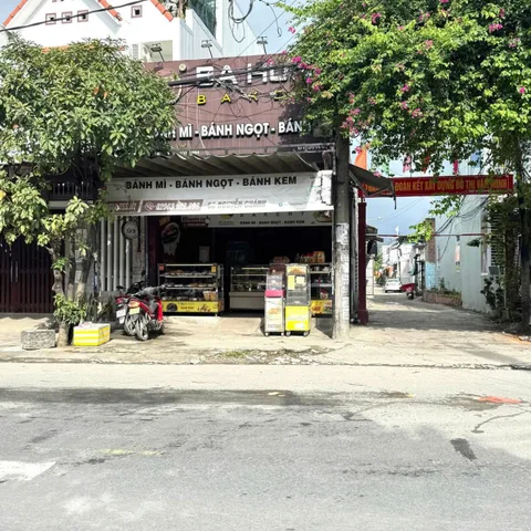 Bất động sản tại Đà Nẵng - ảnh 1