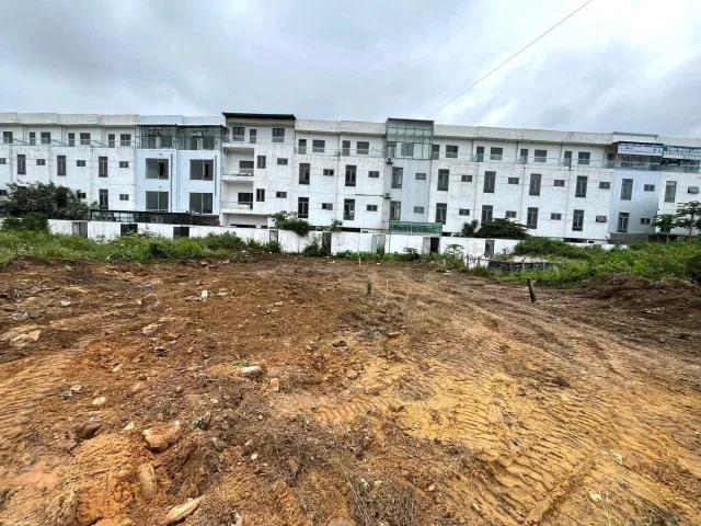Bất động sản tại Đà Nẵng - ảnh 1