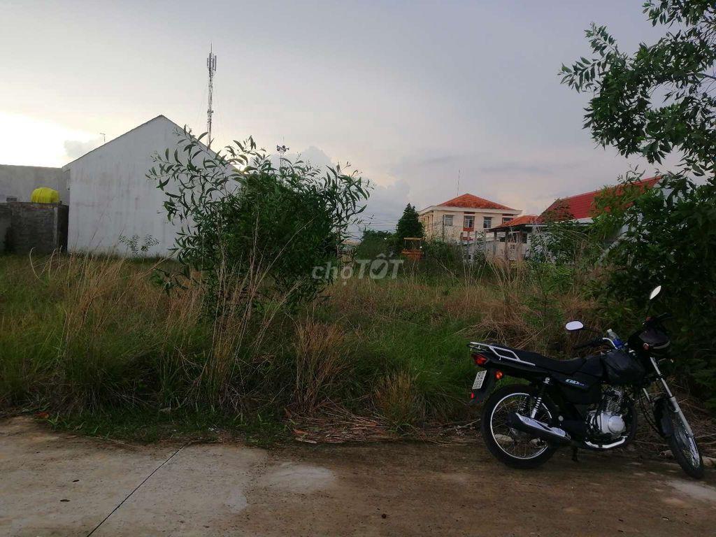 Bất động sản tại Long An - ảnh 1