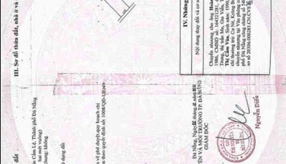 Bất động sản tại Đà Nẵng - ảnh 1