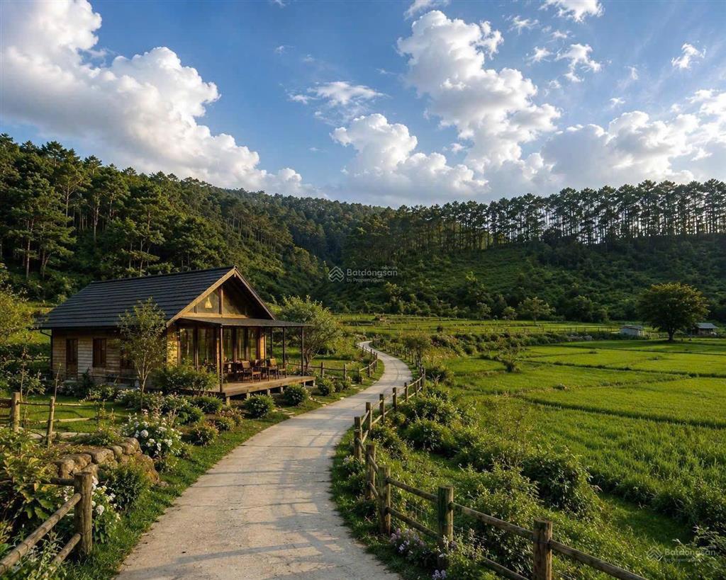 Bất động sản tại Kon Tum - ảnh 1