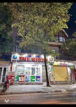 Bất động sản tại Thừa Thiên Huế - ảnh 1