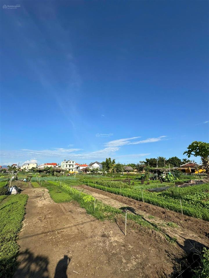Bất động sản tại Quảng Nam - ảnh 1