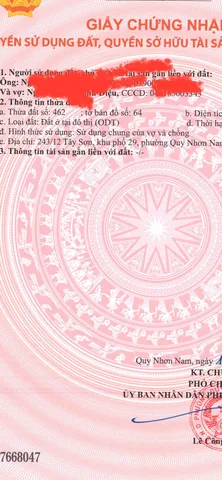 Bất động sản tại Bình Định - ảnh 1