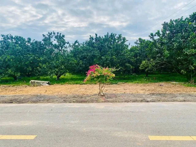 Bất động sản tại Bình Dương - ảnh 1