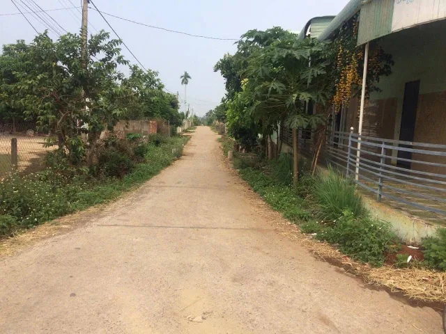 Bất động sản tại Đắk Lắk - ảnh 1