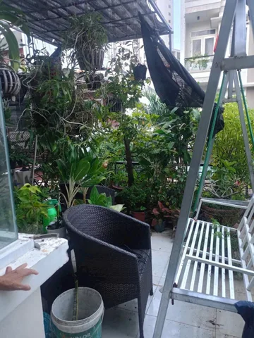 Bất động sản tại Khánh Hòa - ảnh 1
