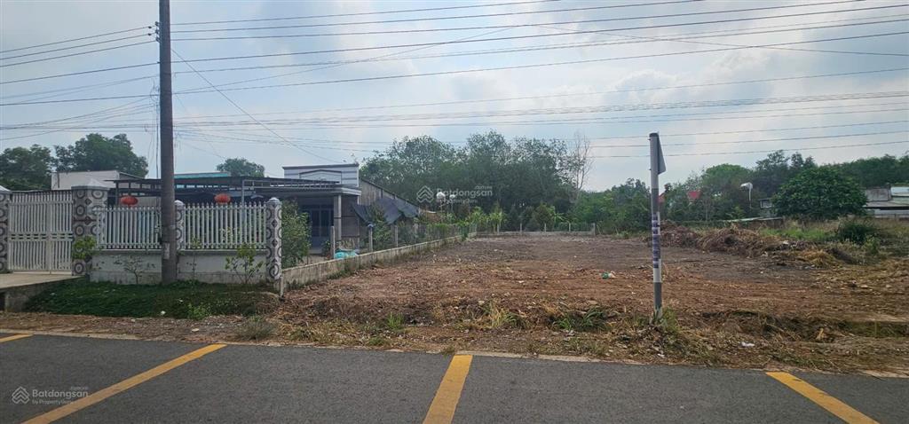 Bất động sản tại Bình Dương - ảnh 1