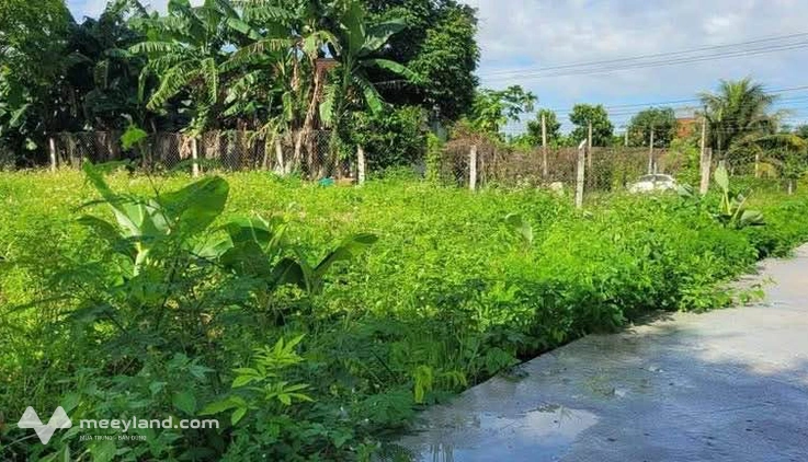 Bất động sản tại Phú Yên - ảnh 1