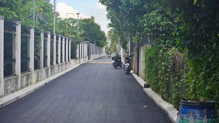 Bất động sản tại Bình Dương - ảnh 1