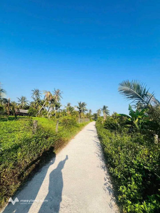 Bất động sản tại Bình Định - ảnh 1