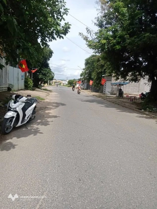 Bất động sản tại Kon Tum - ảnh 1