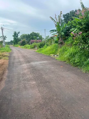 Bất động sản tại Bình Dương - ảnh 1