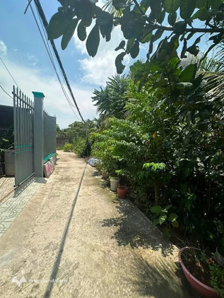 Bất động sản tại Bến Tre - ảnh 1
