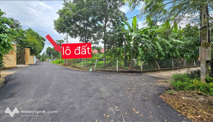 Bất động sản tại Vĩnh Phúc - ảnh 1