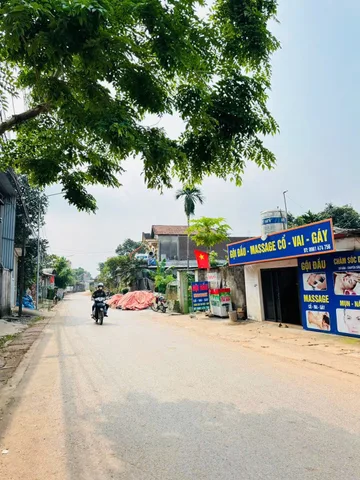 Bất động sản tại Phú Thọ - ảnh 1