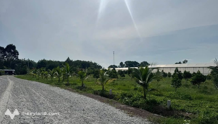 Bất động sản tại Bình Dương - ảnh 1