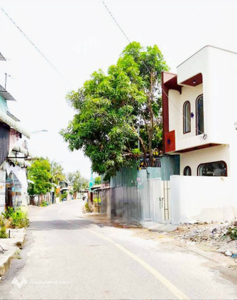 Bất động sản tại Bình Dương - ảnh 1