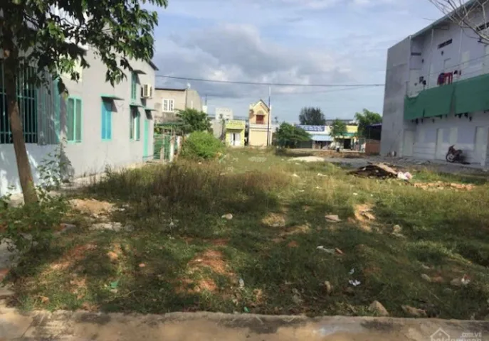 Bất động sản tại Bình Dương - ảnh 1