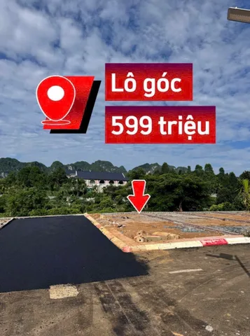 Bất động sản tại Phú Thọ - ảnh 1