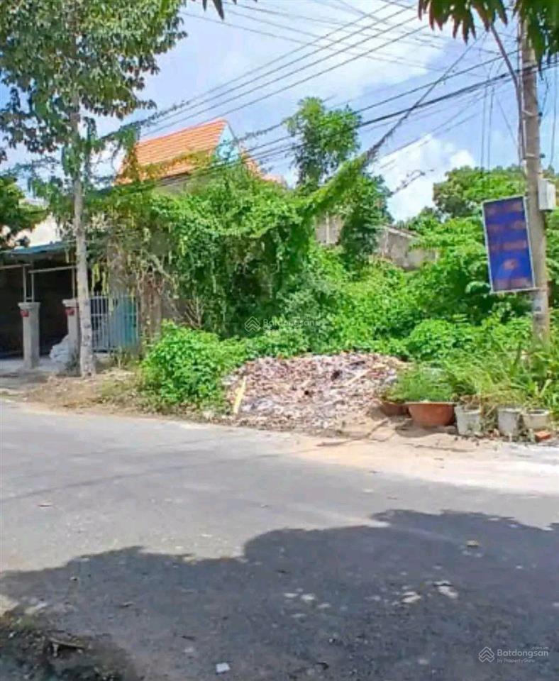 Bất động sản tại Long An - ảnh 1