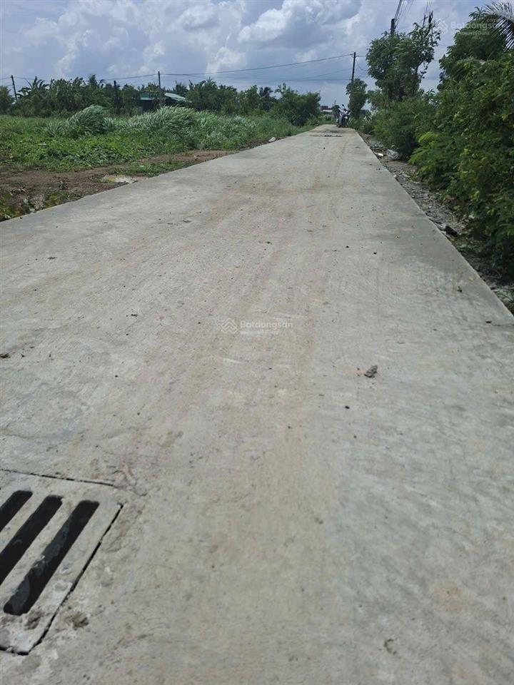 Bất động sản tại Tiền Giang - ảnh 1