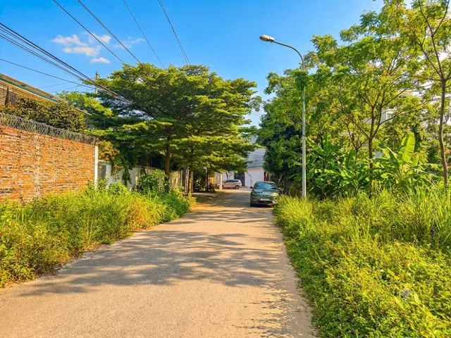 Bất động sản tại Phú Thọ - ảnh 1