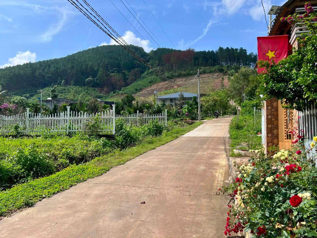 Bất động sản tại Lâm Đồng - ảnh 1