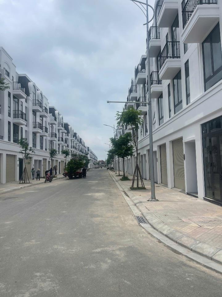 Bất động sản tại Hải Phòng - ảnh 1