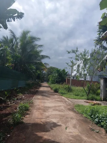 Bất động sản tại Đắk Lắk - ảnh 1