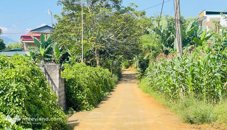 Bất động sản tại Tuyên Quang - ảnh 1
