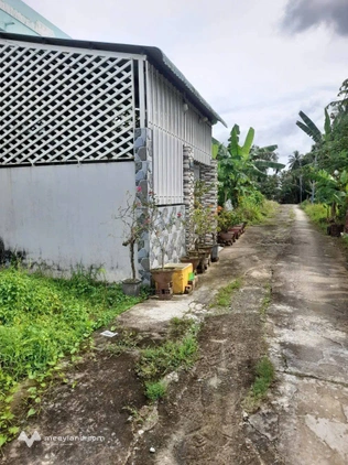 Bất động sản tại Bến Tre - ảnh 1