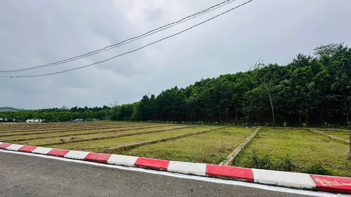 Bất động sản tại Phú Thọ - ảnh 1