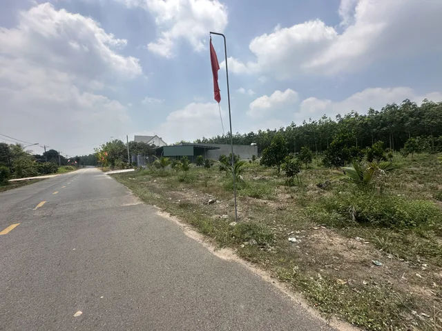 Bất động sản tại Bình Dương - ảnh 1