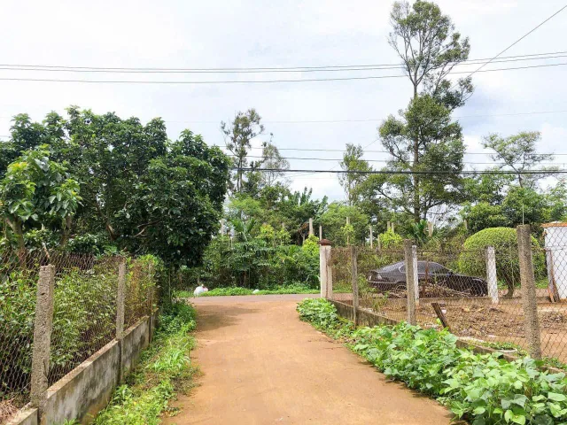 Bất động sản tại Đắk Lắk - ảnh 1