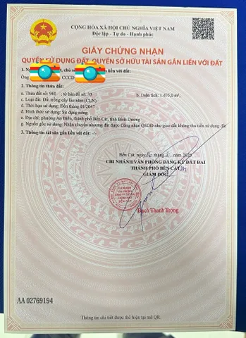 Bất động sản tại Bình Dương - ảnh 1