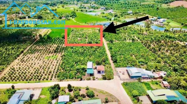 Bất động sản tại Đắk Lắk - ảnh 1