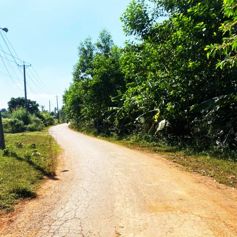 Bất động sản tại Đồng Nai - ảnh 1