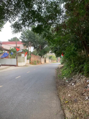 Bất động sản tại Phú Thọ - ảnh 1