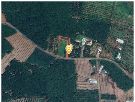 Bất động sản tại Bình Dương - ảnh 1